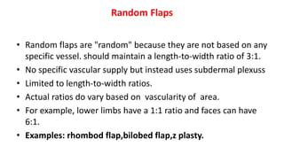 Random Flaps
• Random flaps are "random" because they are not based on any
specific vessel. should maintain a length-to-width ratio of 3:1.
• No specific vascular supply but instead uses subdermal plexuss
• Limited to length-to-width ratios.
• Actual ratios do vary based on vascularity of area.
• For example, lower limbs have a 1:1 ratio and faces can have
6:1.
• Examples: rhombod flap,bilobed flap,z plasty.
 