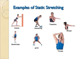 Types of flexibility training