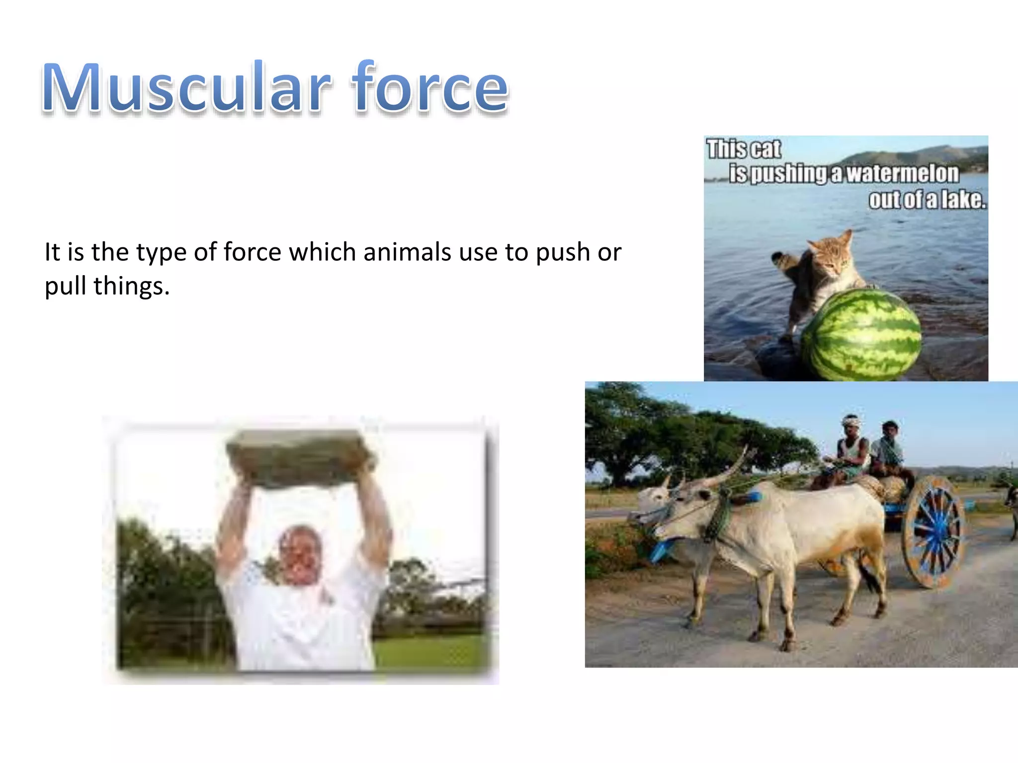 It is the type of force which animals use to push or
pull things.