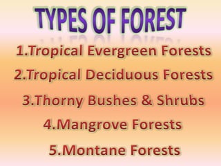 Types of forest in India | PPT