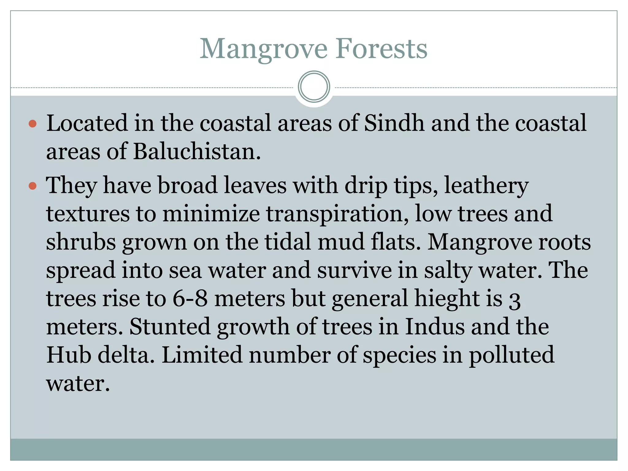 Mangrove Forests
 Located in the coastal areas of Sindh and the coastal
areas of Baluchistan.
 They have broad leaves with drip tips, leathery
textures to minimize transpiration, low trees and
shrubs grown on the tidal mud flats. Mangrove roots
spread into sea water and survive in salty water. The
trees rise to 6-8 meters but general hieght is 3
meters. Stunted growth of trees in Indus and the
Hub delta. Limited number of species in polluted
water.
 