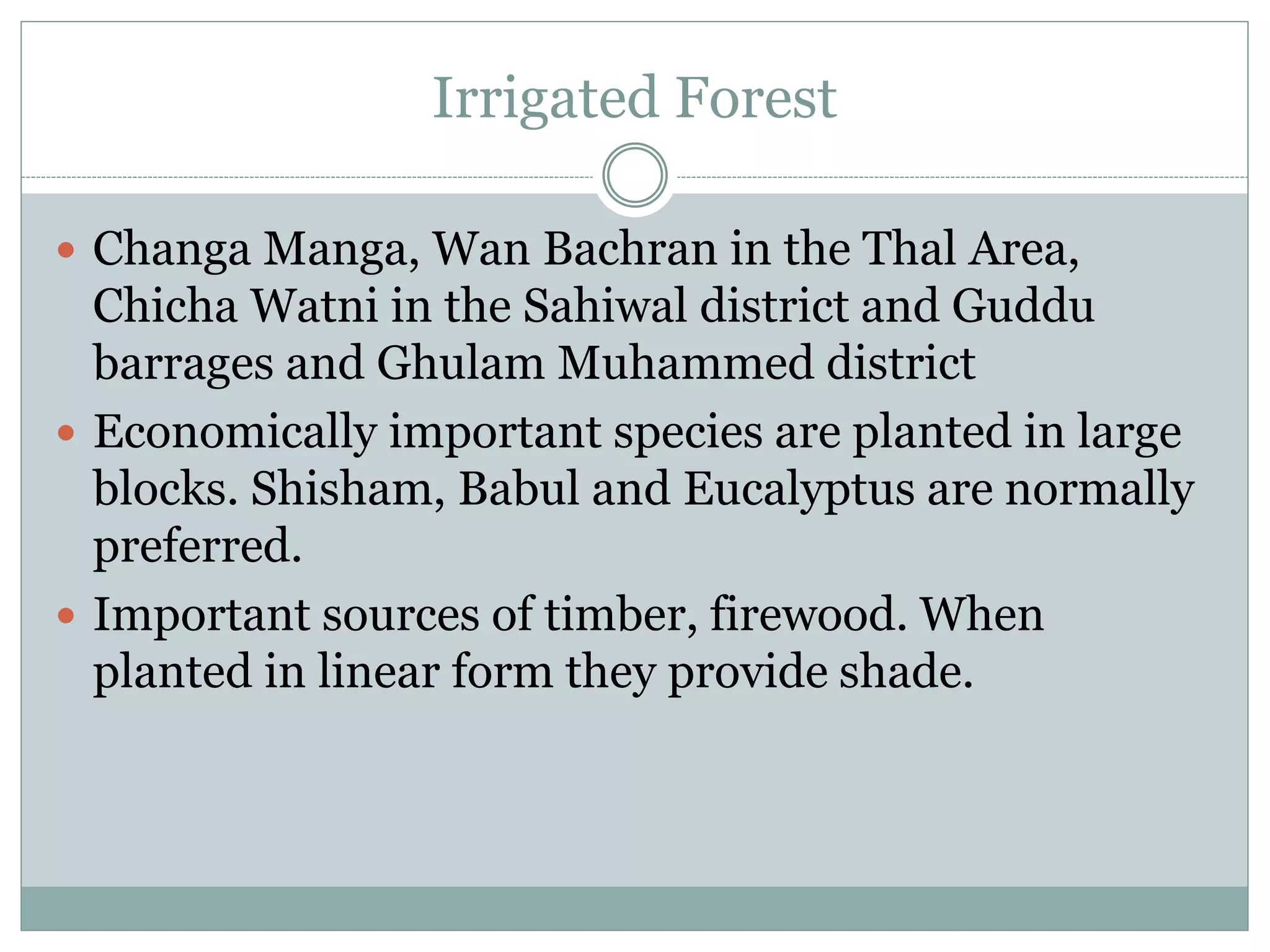 Irrigated Forest
 Changa Manga, Wan Bachran in the Thal Area,
Chicha Watni in the Sahiwal district and Guddu
barrages and Ghulam Muhammed district
 Economically important species are planted in large
blocks. Shisham, Babul and Eucalyptus are normally
preferred.
 Important sources of timber, firewood. When
planted in linear form they provide shade.
 