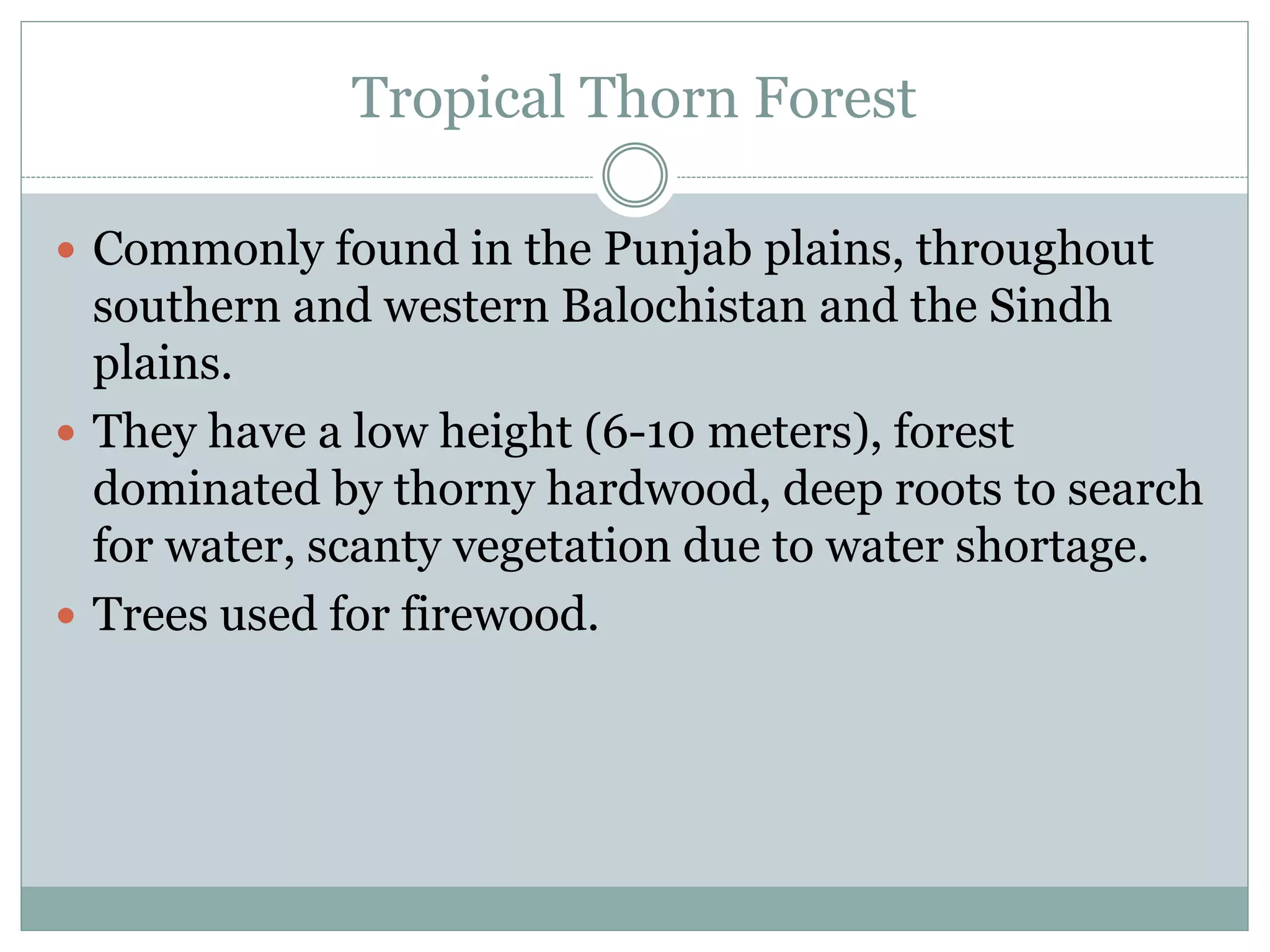 Tropical Thorn Forest
 Commonly found in the Punjab plains, throughout
southern and western Balochistan and the Sindh
plains.
 They have a low height (6-10 meters), forest
dominated by thorny hardwood, deep roots to search
for water, scanty vegetation due to water shortage.
 Trees used for firewood.
 