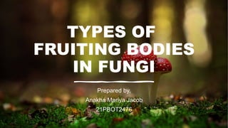 TYPES OF
FRUITING BODIES
IN FUNGI
Prepared by,
Anakha Mariya Jacob
21PBOT2476
 