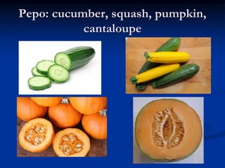 TYPES OF Fruits plant morpho .pdf