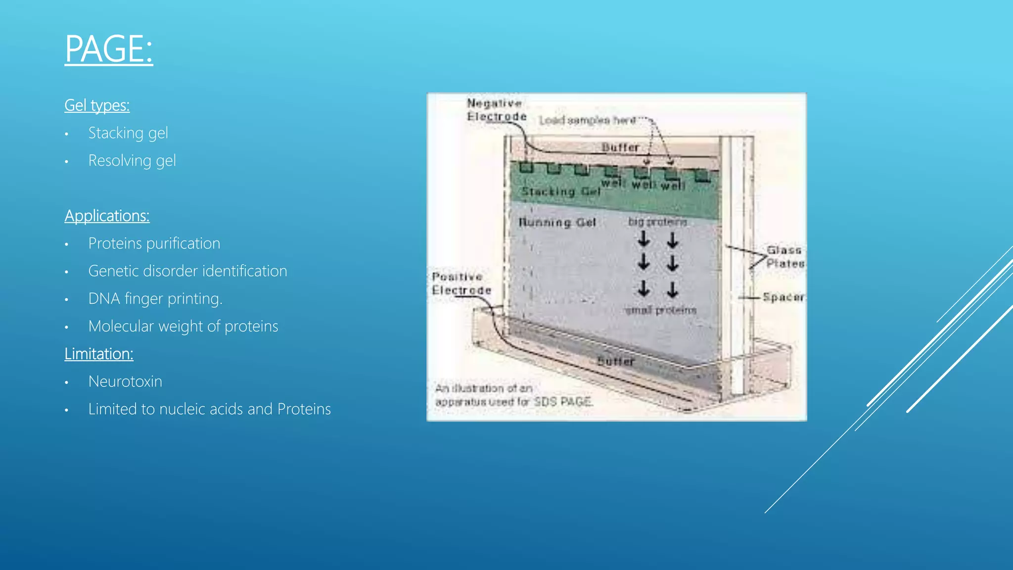 types-of-gel-electrophoresis-ppt