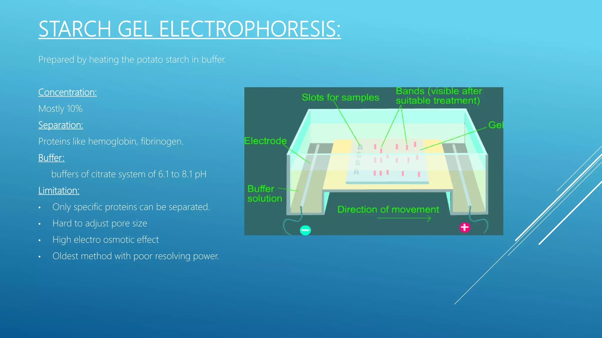 Types Of Gel Electrophoresis