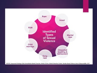 VOICES, Assessment Findings of the Humanitarian Needs Overview, Whole of Syria, Global Protection Cluster, Gender-Based Violence Area of Responsibility, 2017
 