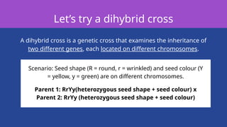 Comprehensive Grade 8 Science Presentation on Genetic Inheritance and ...