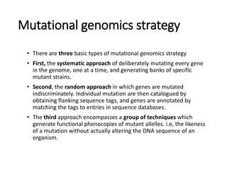 Mutational genomics strategy
• There are three basic types of mutational genomics strategy
• First, the systematic approach of deliberately mutating every gene
in the genome, one at a time, and generating banks of specific
mutant strains.
• Second, the random approach in which genes are mutated
indiscriminately. Individual mutation are then catalogued by
obtaining flanking sequence tags, and genes are annotated by
matching the tags to entries in sequence databases.
• The third approach encompasses a group of techniques which
generate functional phenocopies of mutant allelles. i.e, the likeness
of a mutation without actually altering the DNA sequence of an
organism.
 