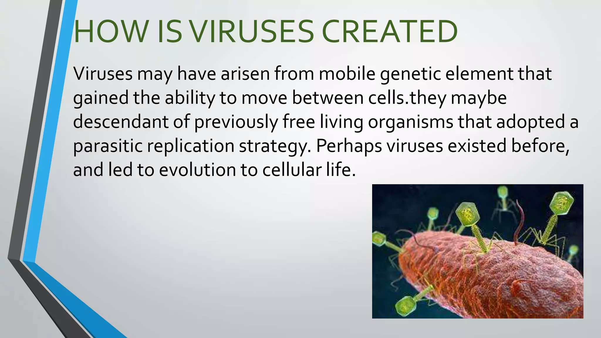 HOW ISVIRUSES CREATED
Viruses may have arisen from mobile genetic element that
gained the ability to move between cells.they maybe
descendant of previously free living organisms that adopted a
parasitic replication strategy. Perhaps viruses existed before,
and led to evolution to cellular life.
 