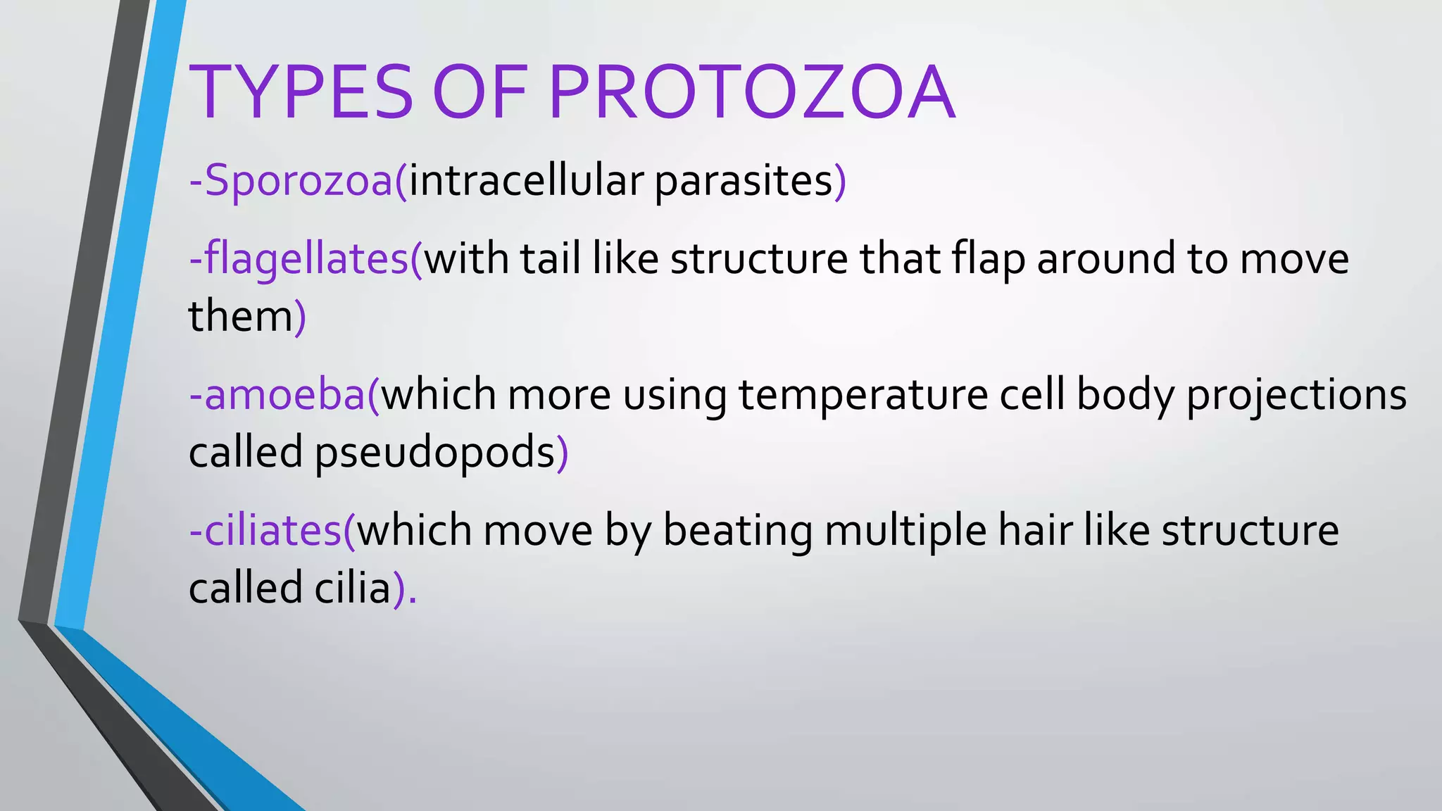 TYPES OF PROTOZOA
-Sporozoa(intracellular parasites)
-flagellates(with tail like structure that flap around to move
them)
-amoeba(which more using temperature cell body projections
called pseudopods)
-ciliates(which move by beating multiple hair like structure
called cilia).
 