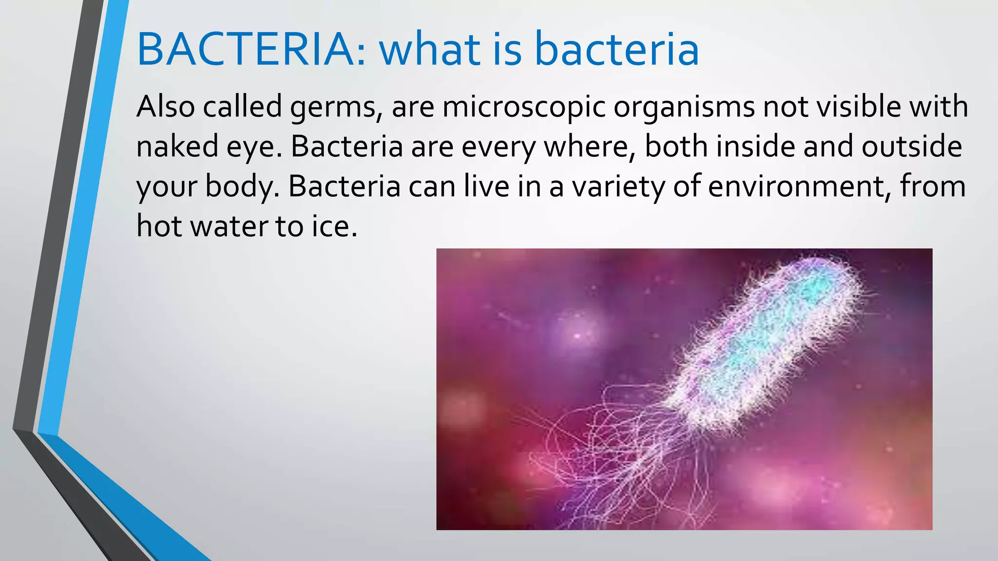 BACTERIA: what is bacteria
Also called germs, are microscopic organisms not visible with
naked eye. Bacteria are every where, both inside and outside
your body. Bacteria can live in a variety of environment, from
hot water to ice.
 