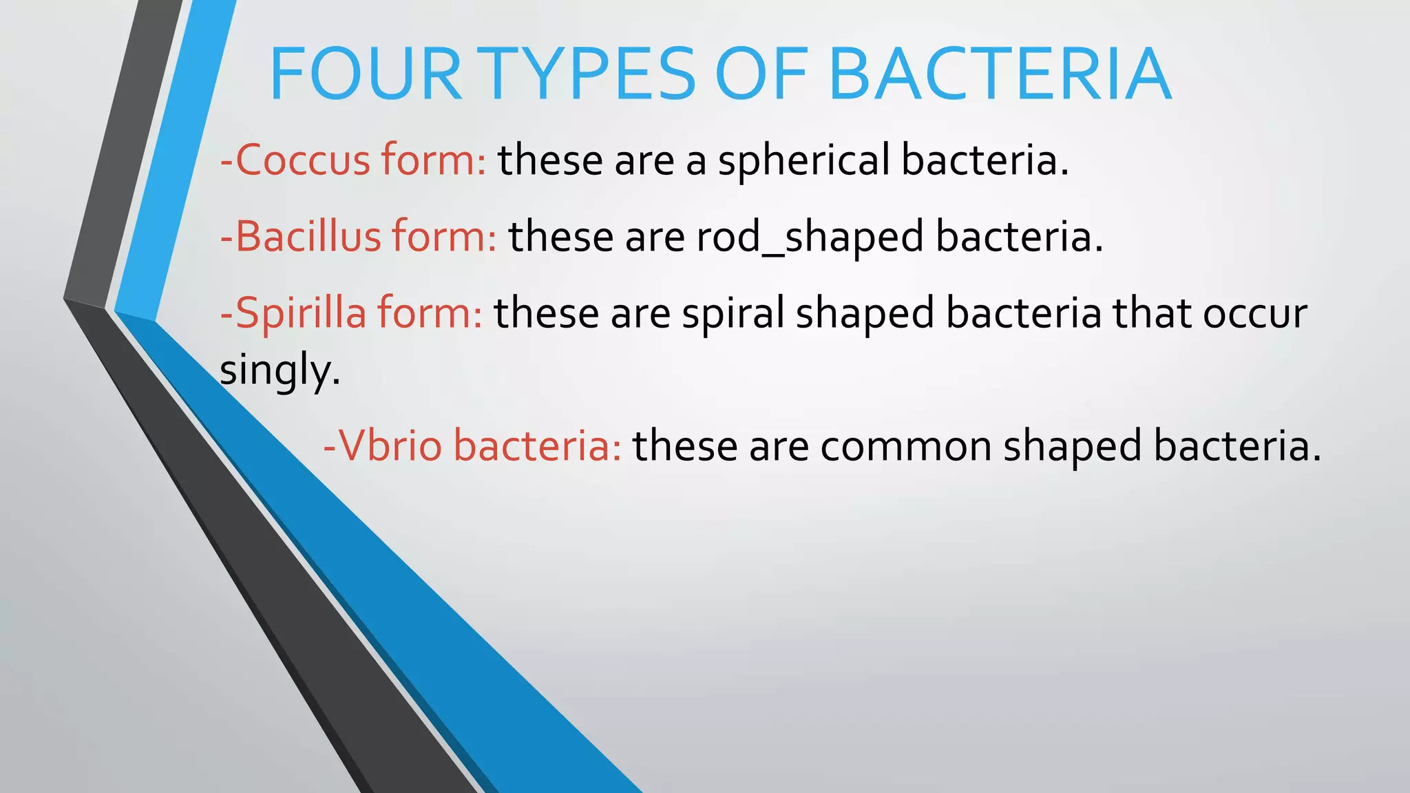 FOURTYPES OF BACTERIA
-Coccus form: these are a spherical bacteria.
-Bacillus form: these are rod_shaped bacteria.
-Spirilla form: these are spiral shaped bacteria that occur
singly.
-Vbrio bacteria: these are common shaped bacteria.
 
