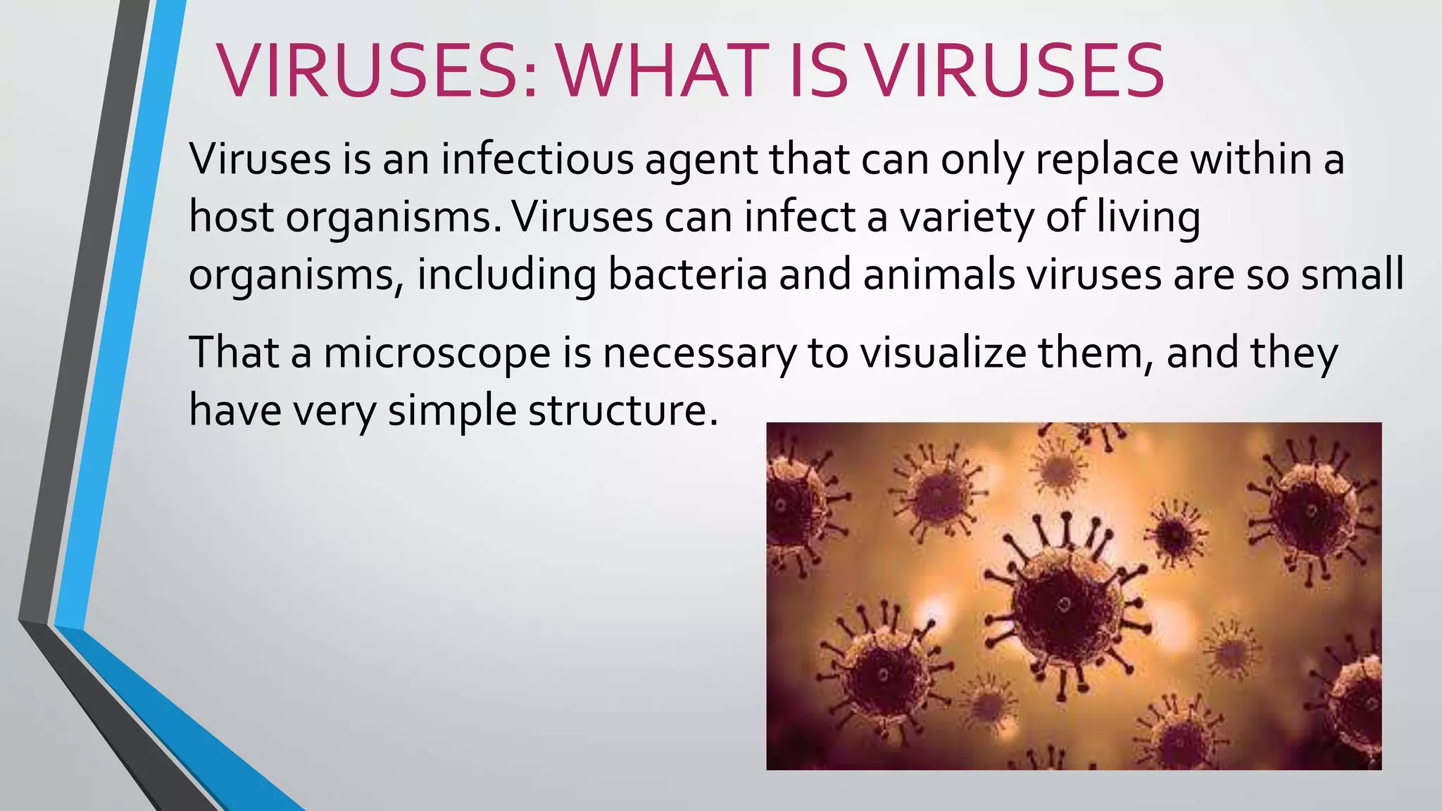 VIRUSES:WHAT ISVIRUSES
Viruses is an infectious agent that can only replace within a
host organisms.Viruses can infect a variety of living
organisms, including bacteria and animals viruses are so small
That a microscope is necessary to visualize them, and they
have very simple structure.
 