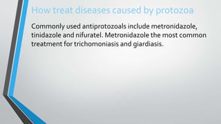How treat diseases caused by protozoa
Commonly used antiprotozoals include metronidazole,
tinidazole and nifuratel. Metronidazole the most common
treatment for trichomoniasis and giardiasis.
 