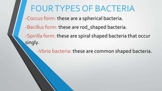 FOURTYPES OF BACTERIA
-Coccus form: these are a spherical bacteria.
-Bacillus form: these are rod_shaped bacteria.
-Spirilla form: these are spiral shaped bacteria that occur
singly.
-Vbrio bacteria: these are common shaped bacteria.
 