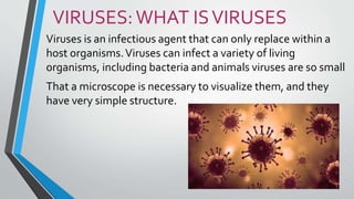 VIRUSES:WHAT ISVIRUSES
Viruses is an infectious agent that can only replace within a
host organisms.Viruses can infect a variety of living
organisms, including bacteria and animals viruses are so small
That a microscope is necessary to visualize them, and they
have very simple structure.
 