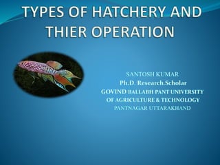 Types of hatchery and their operation