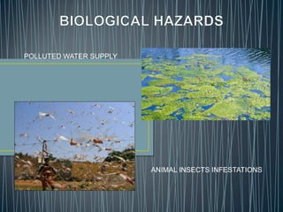 ANIMAL INSECTS INFESTATIONS
POLLUTED WATER SUPPLY
 