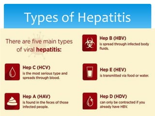 Types of Hepatitis
 