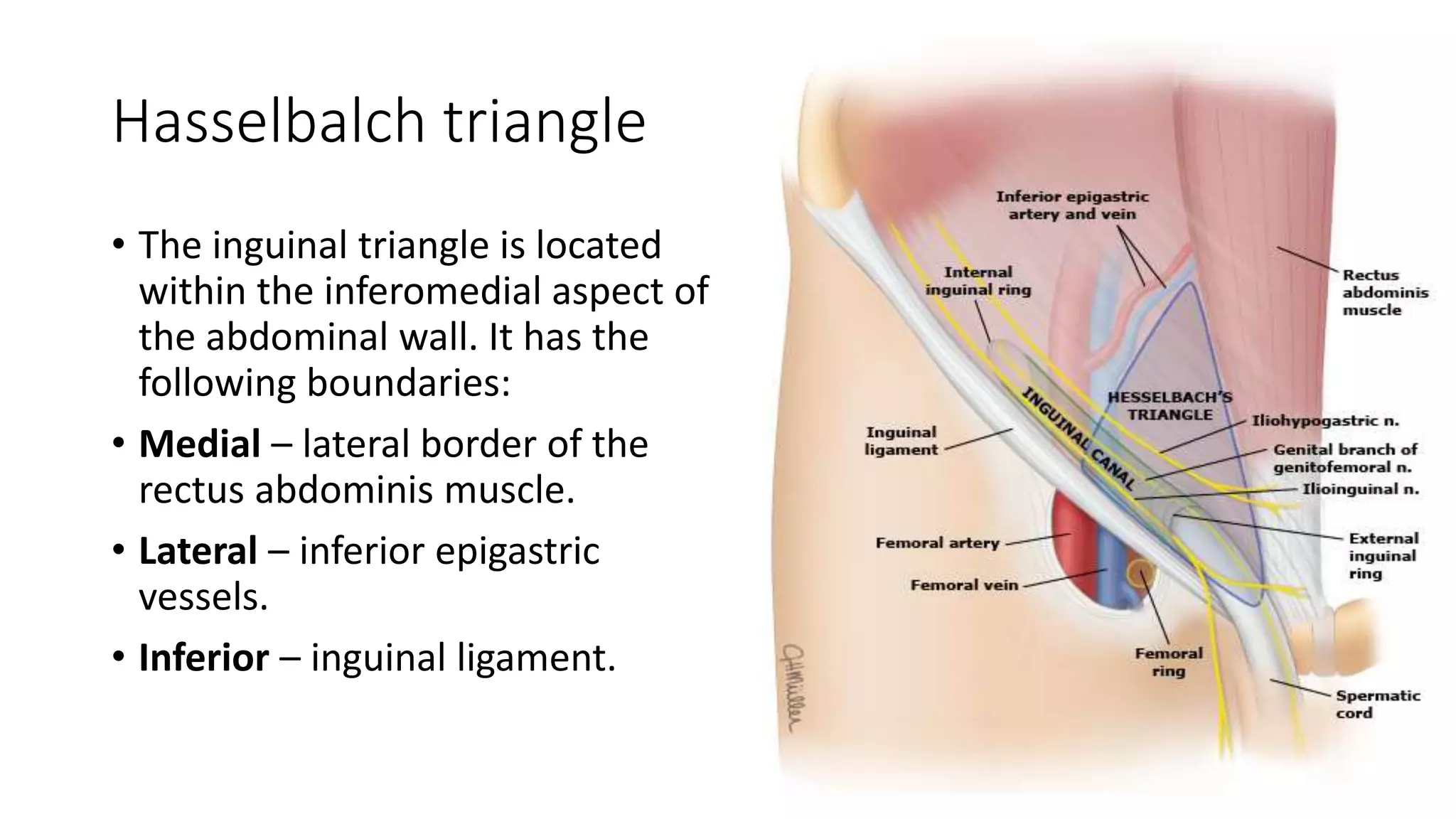 Types of hernia.pptx