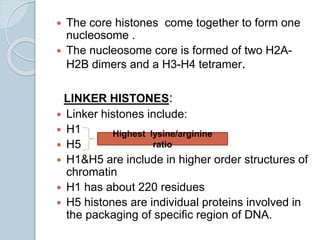 Types of histones, histone modifications and their effects | PPTX