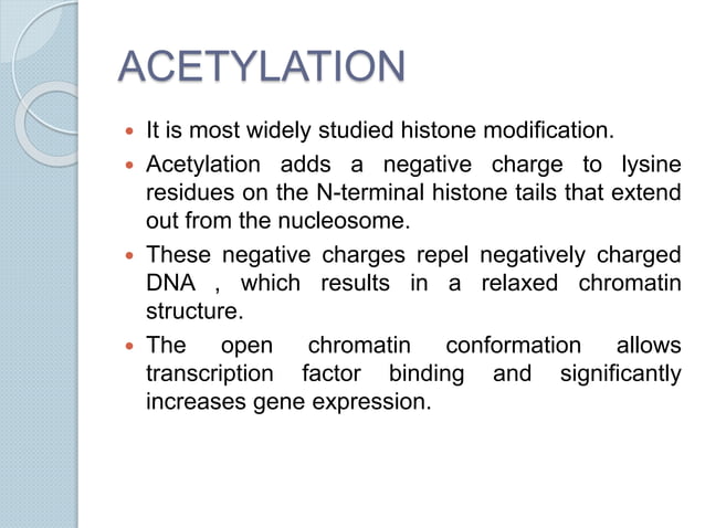 Types of histones, histone modifications and their effects