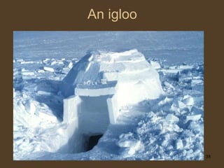An igloo 