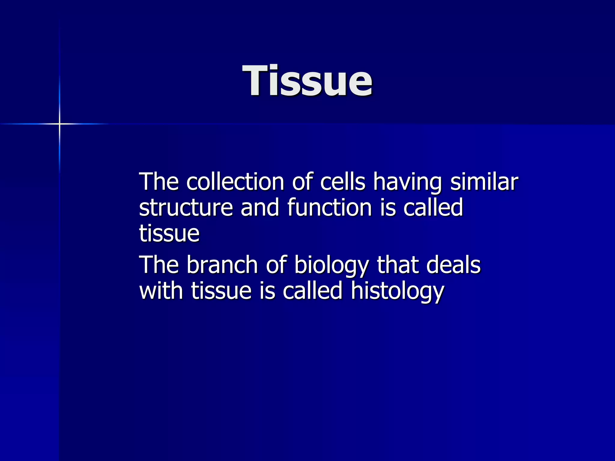 Types Of Tissue Quizlet - mctyi7p