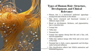 Types of Human Hair: Structure, Development, and Clinical Relevance | PPTX