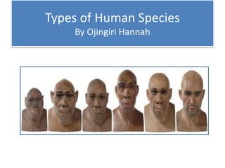 Types of Human Species
By Ojingiri Hannah
 