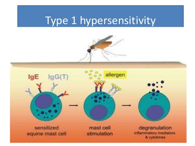 hypersensitivity reaction