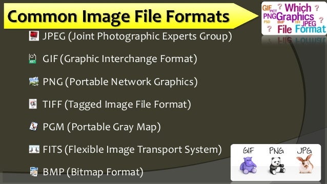types of image file format mathankumar s vmkvec interchange format