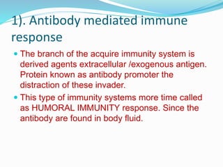 1). Antibody mediated immune
response
 The branch of the acquire immunity system is
derived agents extracellular /exogenous antigen.
Protein known as antibody promoter the
distraction of these invader.
 This type of immunity systems more time called
as HUMORAL IMMUNITY response. Since the
antibody are found in body fluid.
 