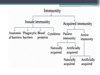 Overview of Innate and Adaptive Immunity | PDF