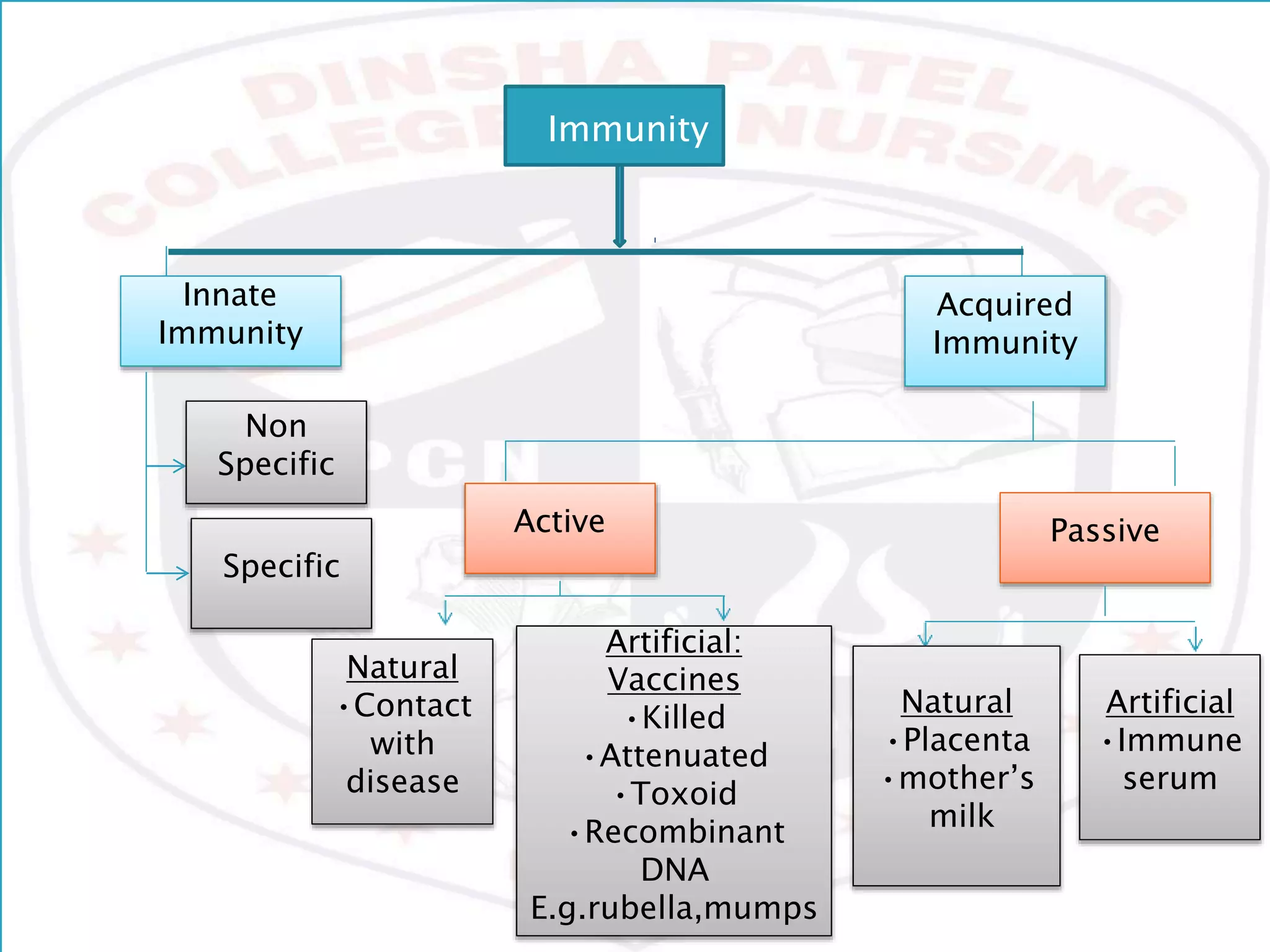 Innate
Immunity
Acquired
Immunity
Non
Specific
Specific
Active Passive
Natural
•Contact
with
disease
Artificial:
Vaccines
•Killed
•Attenuated
•Toxoid
•Recombinant
DNA
E.g.rubella,mumps
Natural
•Placenta
•mother’s
milk
Artificial
•Immune
serum
Immunity
 