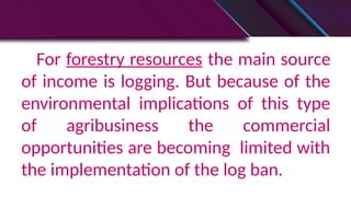 For forestry resources the main source
of income is logging. But because of the
environmental implications of this type
of agribusiness the commercial
opportunities are becoming limited with
the implementation of the log ban.
 