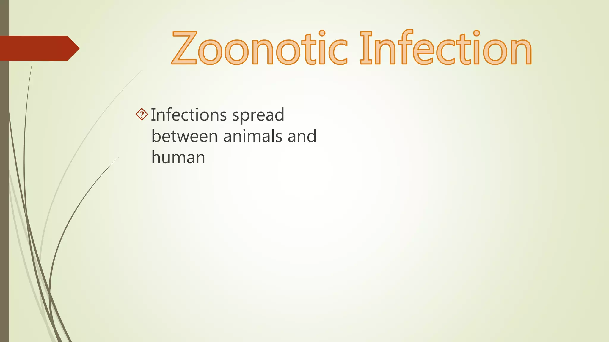 Infections spread
between animals and
human
 