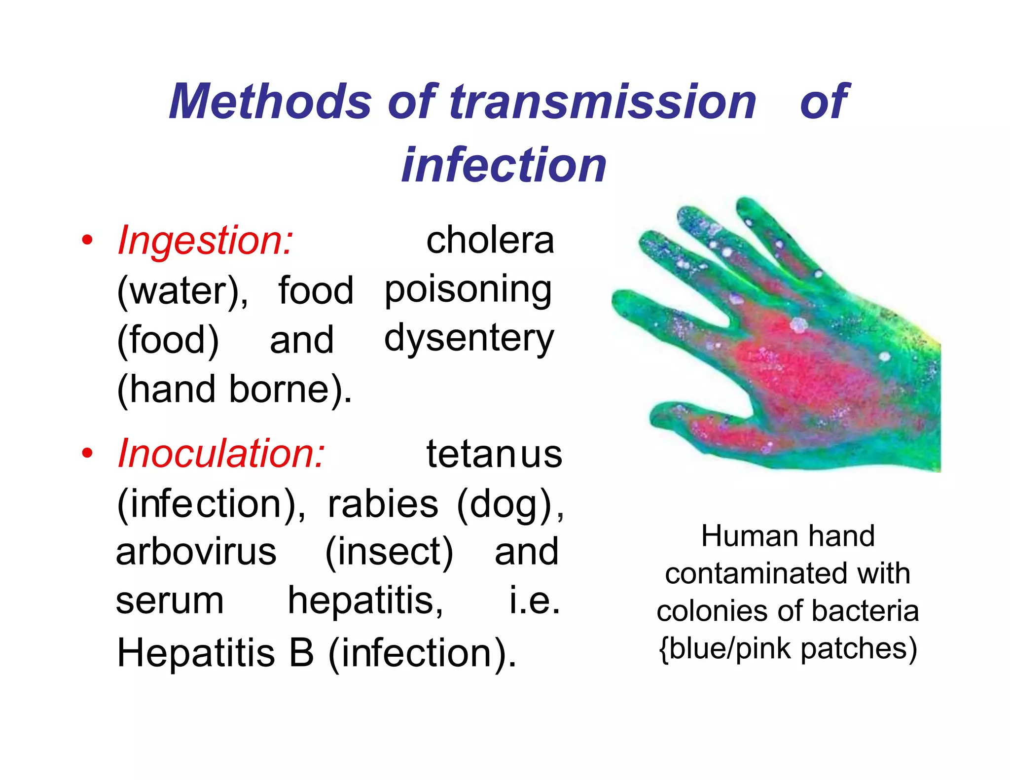 Methods of transmission of
infection
• Ingestion:
(water), food
(food) and
(hand borne).
• Inoculation:
cholera
poisoning
dysentery
tetanus
(infection), rabies (dog),
arbovirus (insect) and
serum hepatitis, i.e.
Hepatitis B (infection).
Human hand
contaminated with
colonies of bacteria
{blue/pink patches)
 