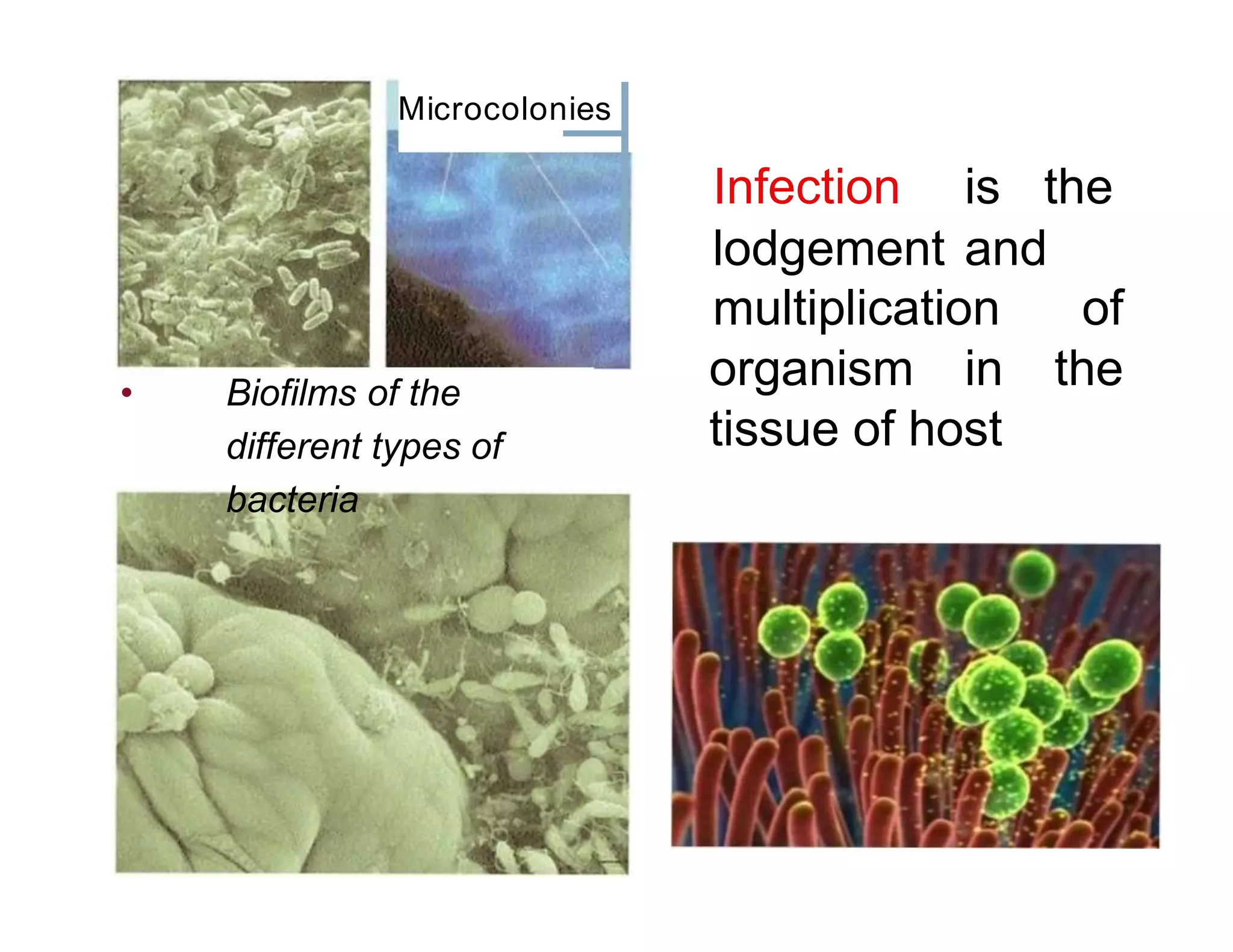Microcolonies
• Biofilms of the
different types of
bacteria
Infection is the
lodgement and
multiplication of
organism in the
tissue of host
 