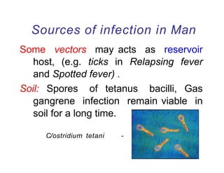 Sources of infection in Man
Some vectors may acts as reservoir
host, (e.g. ticks in Relapsing fever
and Spotted fever) .
Soil: Spores of tetanus bacilli, Gas
gangrene infection remain viable in
soil for a long time.
C/ostridium tetani -
 