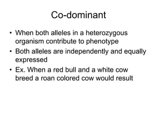 Co-dominant
• When both alleles in a heterozygous
  organism contribute to phenotype
• Both alleles are independently and equally
  expressed
• Ex. When a red bull and a white cow
  breed a roan colored cow would result
 