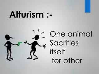 Alturism :- 
One animal 
Sacrifies 
itself 
for other 
 