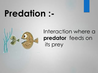 Predation :- 
Interaction where a 
predator feeds on 
its prey 
 