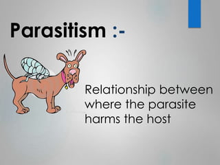 Parasitism :- 
Relationship between 
where the parasite 
harms the host 
 