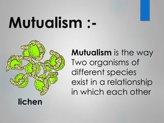 Mutualism :- 
Mutualism is the way 
Two organisms of 
different species 
exist in a relationship 
in which each other 
lichen 
