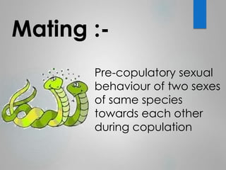 Mating :- 
Pre-copulatory sexual 
behaviour of two sexes 
of same species 
towards each other 
during copulation 
 