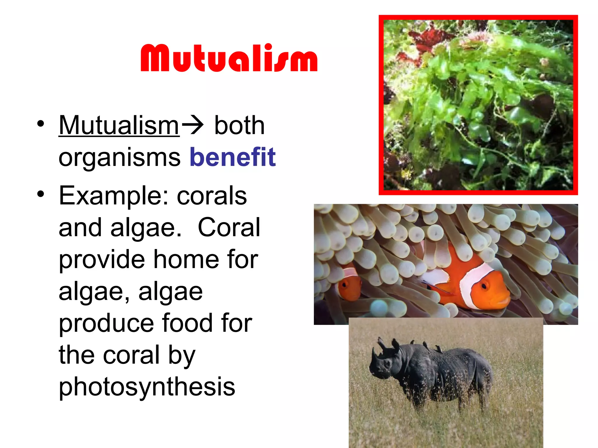 Mutualism
• Mutualism both
organisms benefit
• Example: corals
and algae. Coral
provide home for
algae, algae
produce food for
the coral by
photosynthesis
 