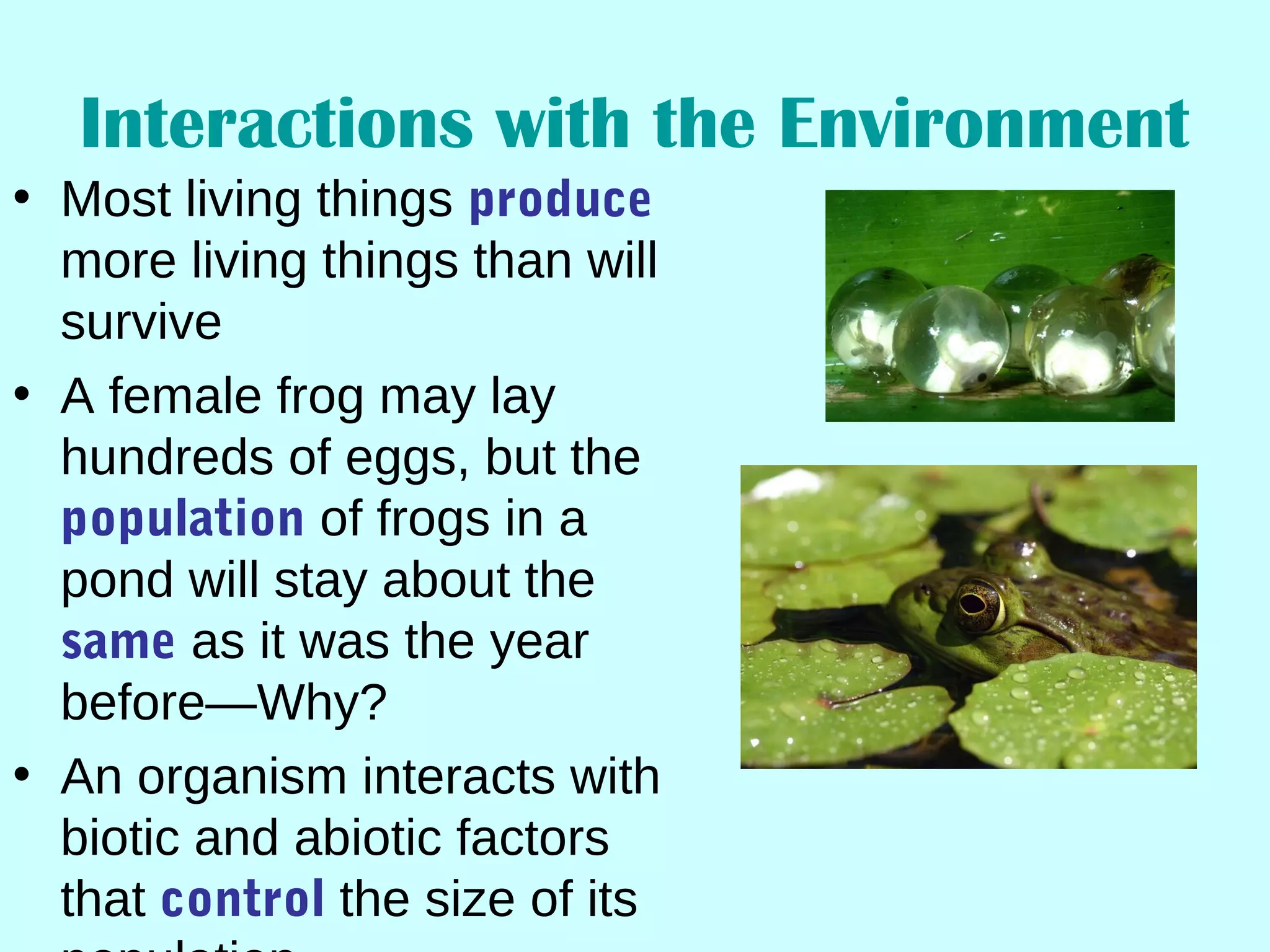 Interactions with the Environment
• Most living things produce
more living things than will
survive
• A female frog may lay
hundreds of eggs, but the
population of frogs in a
pond will stay about the
same as it was the year
before—Why?
• An organism interacts with
biotic and abiotic factors
that control the size of its
 